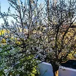 West Garden At By Greece Appartement *