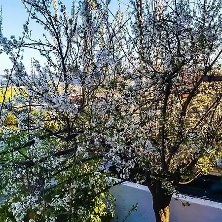 West Garden At By Greece דירה *