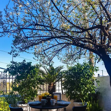 West Garden At By Greece Aigio