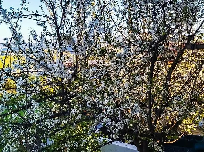 West Garden At By Greece Appartement *