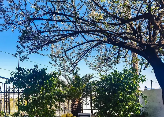 West Garden At By Greece Éjo